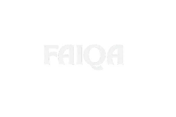 Faiqa Clothing